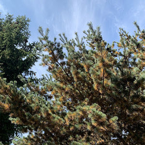 Meet your Posher, Soon